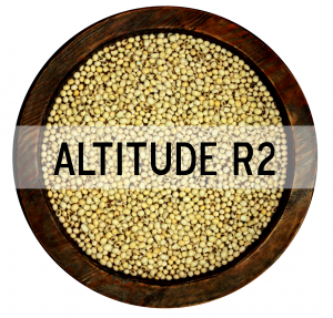 ALTITUDE R2