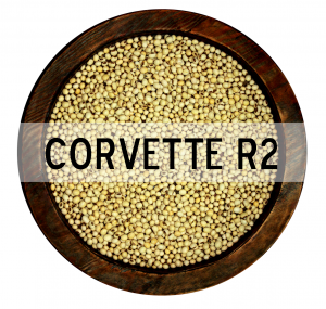 CORVETTE R2